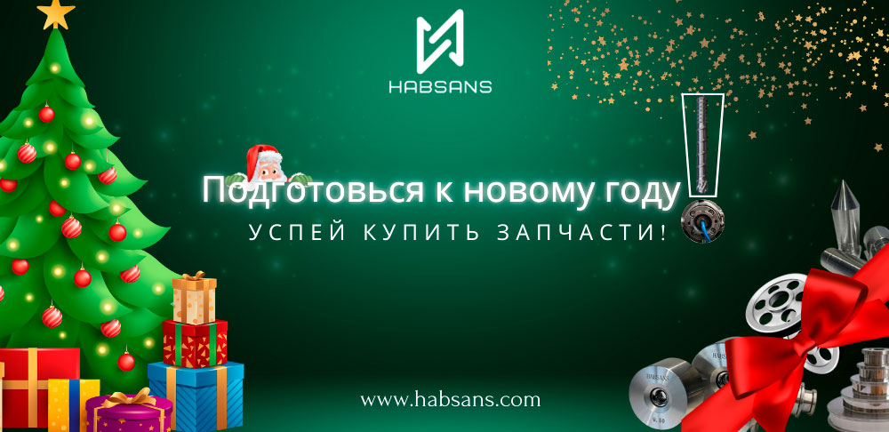 2025 新年 Habsans